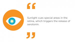 Boost Your Mood with the Sunshine