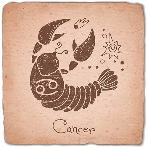 6. Cancer